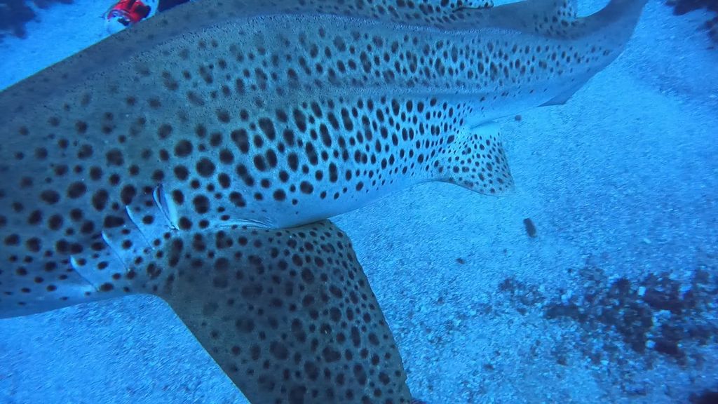 a2c0c8dc-760a-4c29-bd53-f635bb67131a