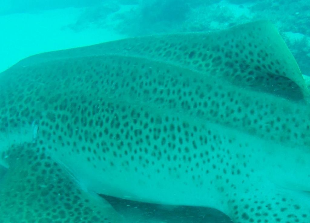 47645818-55ee-48f9-b9c9-8ff05b9d4250