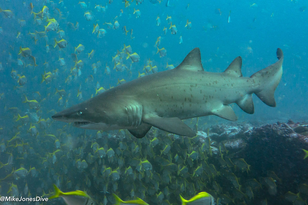 4e095a7c-b0c0-43db-b104-c727bae91348