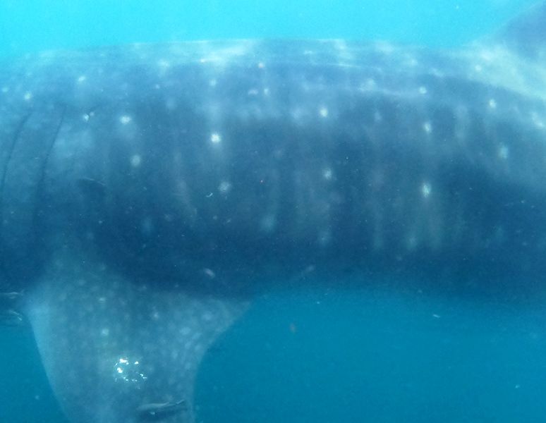 9399567e-c78b-4347-8096-d40548c434cc