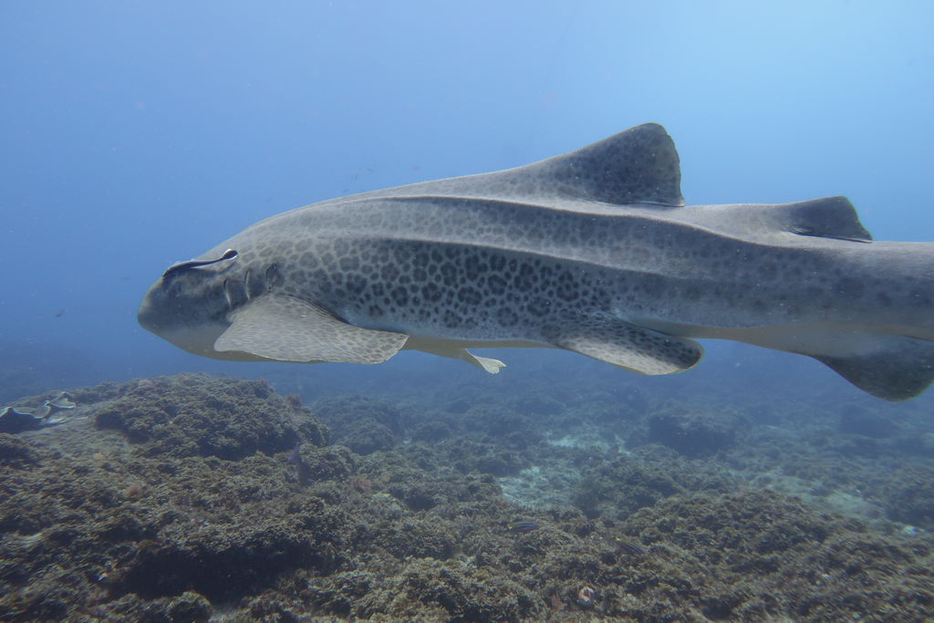 63a2f205-8804-4fcd-a2b2-41aa04b8f245