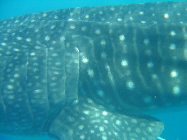 74065e24-1778-48e4-9ed8-4e668adf4011