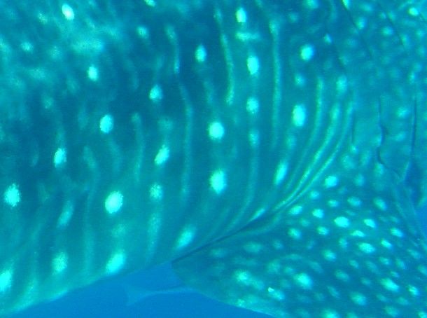 74065e24-1778-48e4-9ed8-4e668adf4011