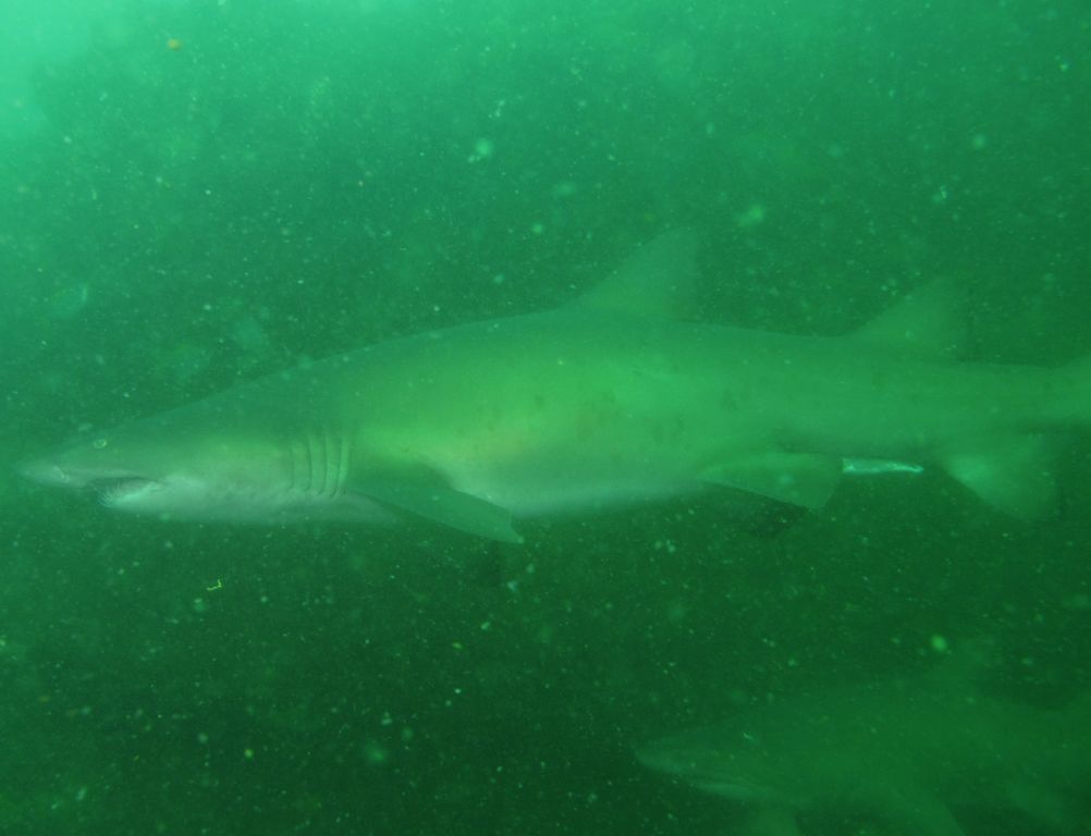 a7a22f37-5079-43c6-afbb-35325b012001