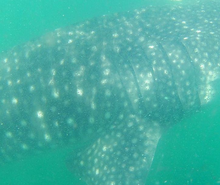 5d04b21a-33b9-4bc1-925f-c1f0379b85d2