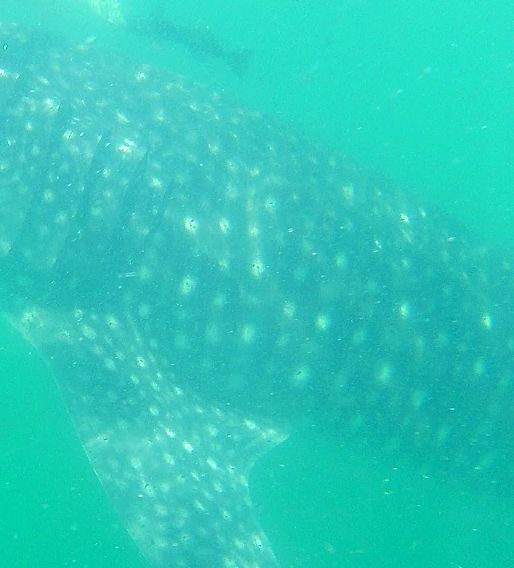 5d04b21a-33b9-4bc1-925f-c1f0379b85d2