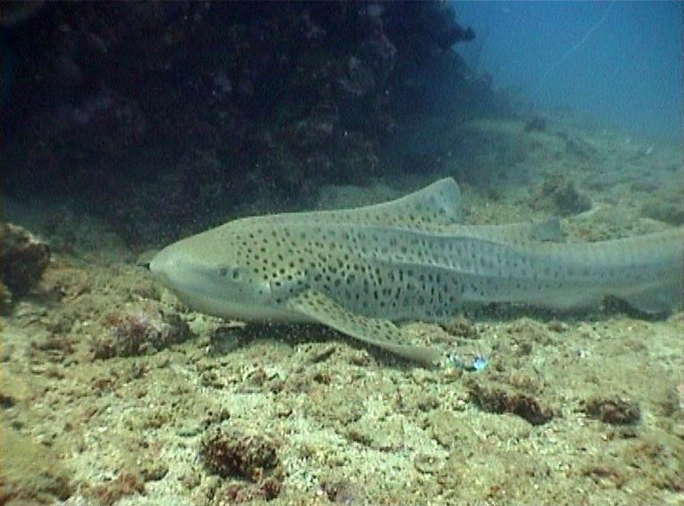 26ec0430-c662-4e4b-9468-20db6b2ee2c2