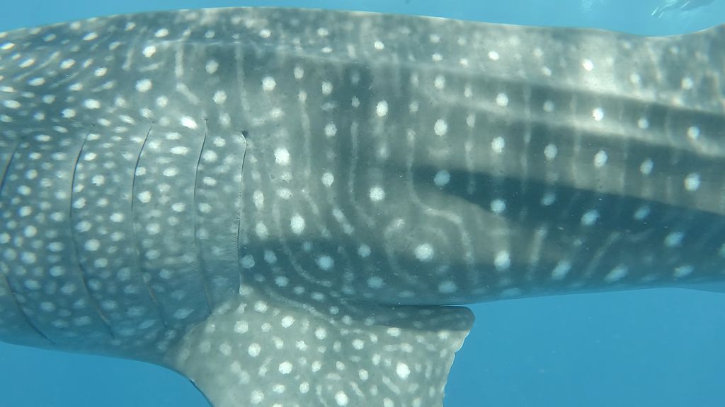 b50e042f-c06c-4239-afc3-941ebf515d62