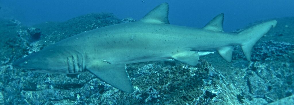 0051a014-f5ce-4463-a36c-dccafd27b63b