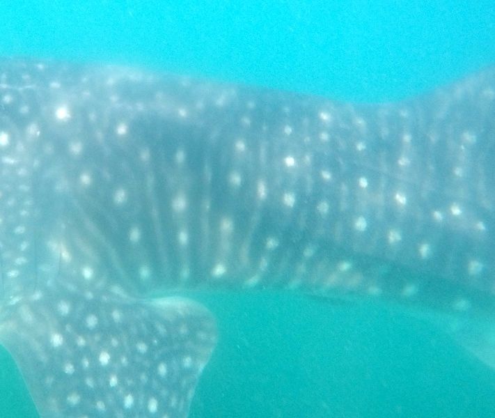 8f91a5de-35b5-4142-8872-5ea869e43429