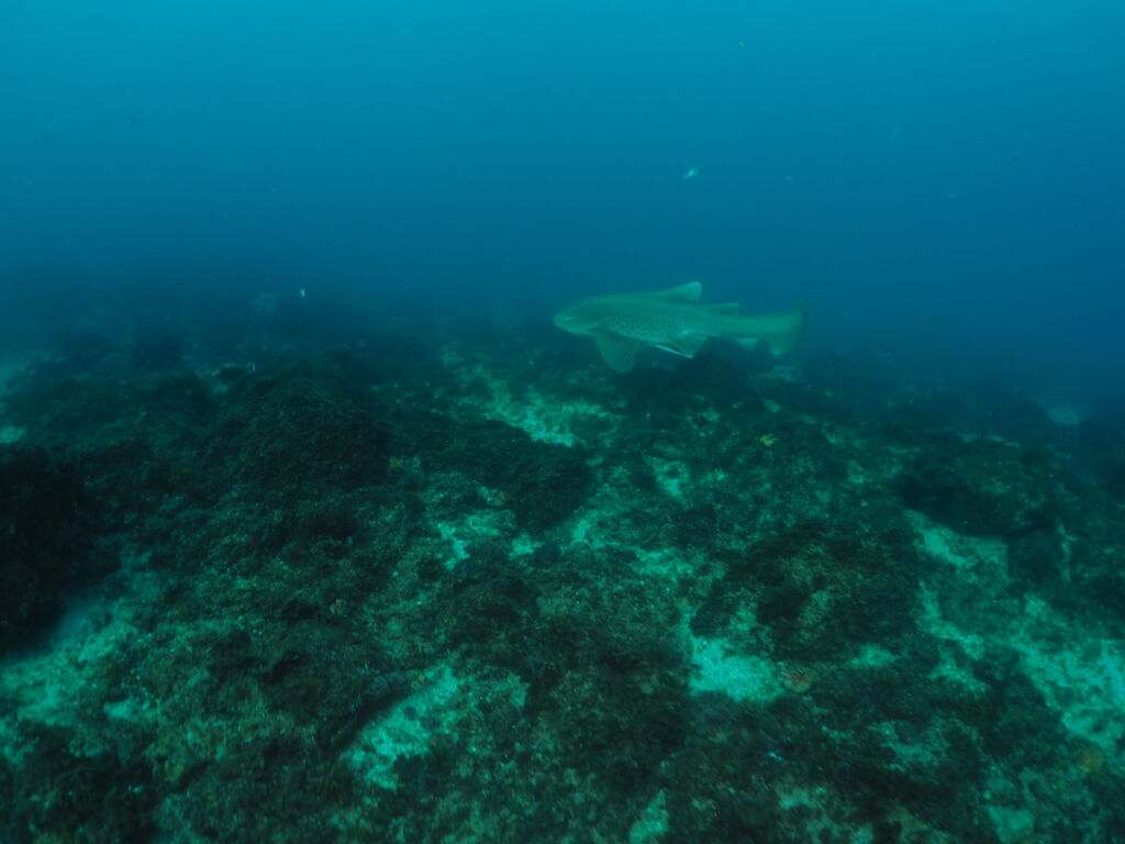 34d9b194-5317-4174-a80a-30e658b7f444