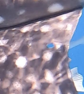 10e43eaa-038e-4ce7-8586-efcea8943002