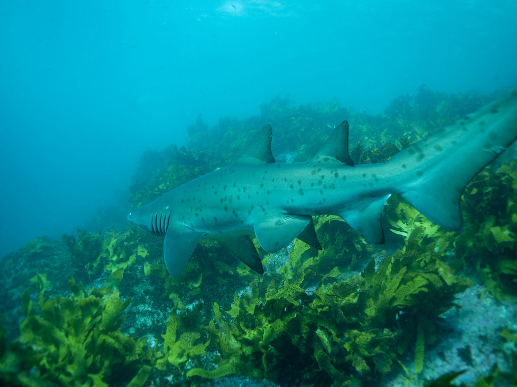 4f4c66af-8d85-4970-aa81-ff7ce6a81102