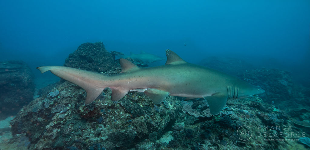 42393d45-6f92-474b-9189-d60ad8456e01