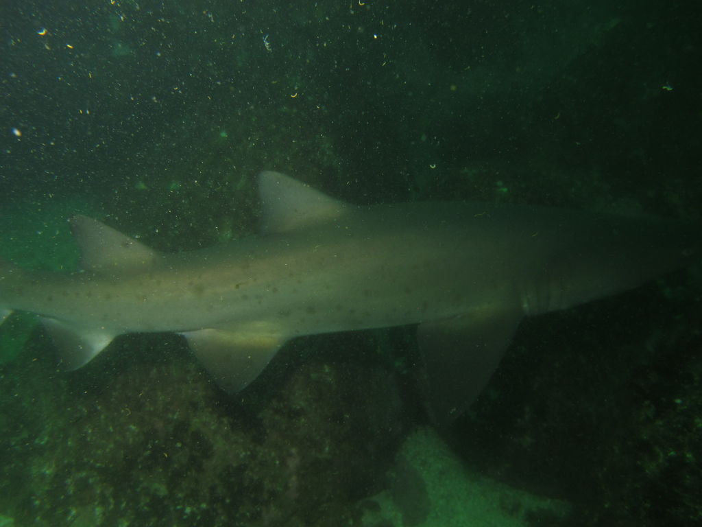 105c8d16-d3f0-4e17-9b65-5d4210ba5b91