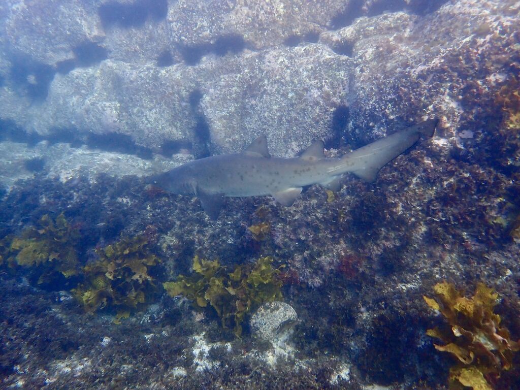 c2745ce9-a1c0-40f7-94b3-39d4809335a7