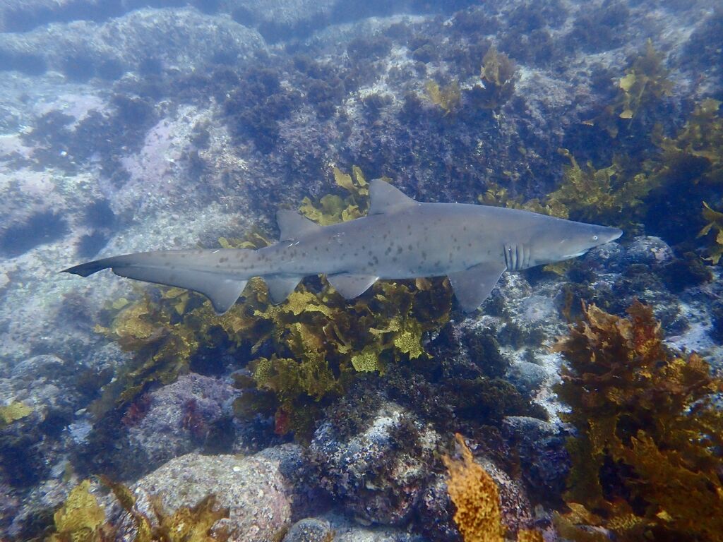 c2745ce9-a1c0-40f7-94b3-39d4809335a7