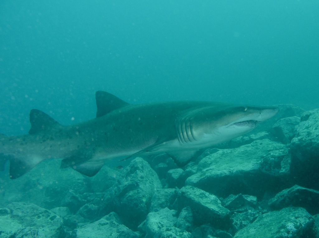 01e50750-df12-43c4-aa03-0d24b19e27d8