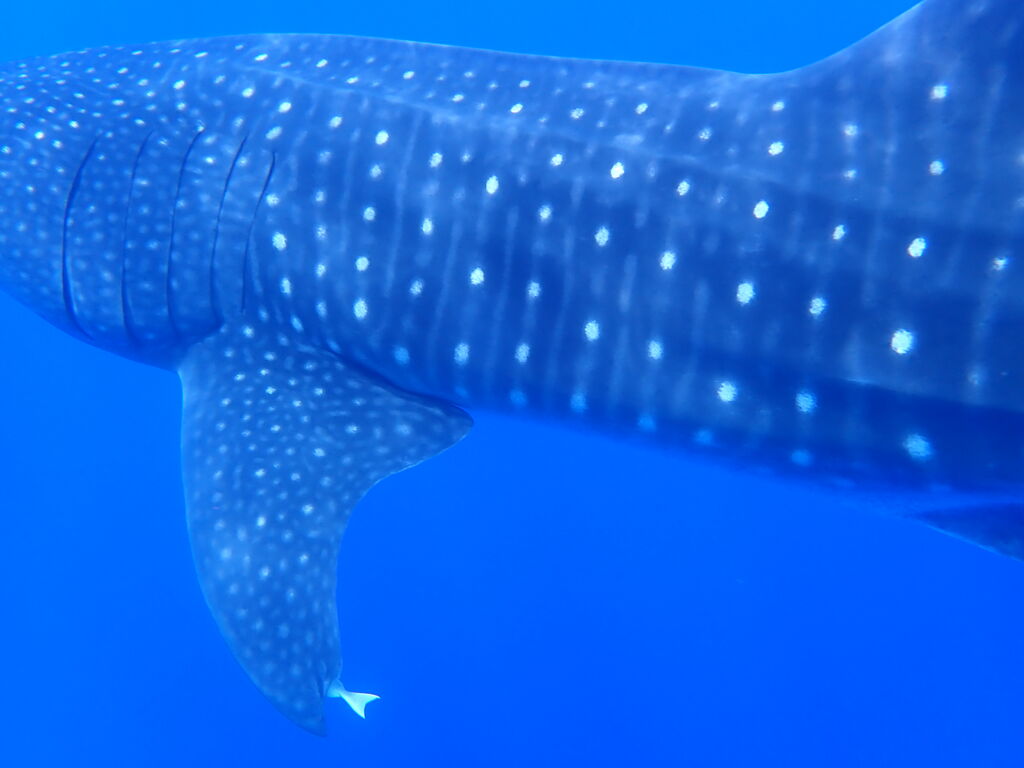 7b4b4ef0-ce4b-43cc-8049-5a9ba5c49fee