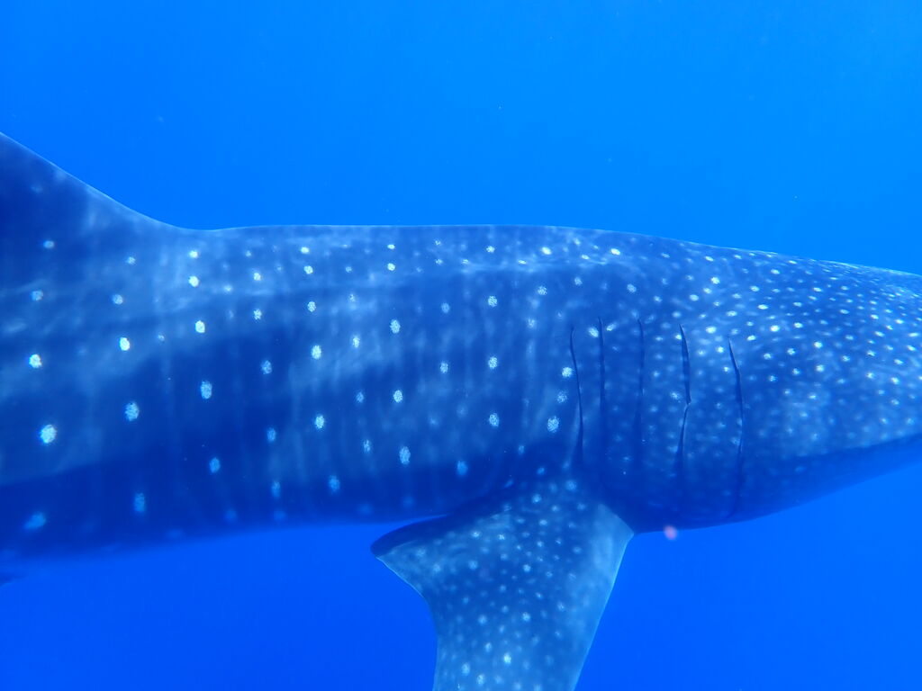 7b4b4ef0-ce4b-43cc-8049-5a9ba5c49fee