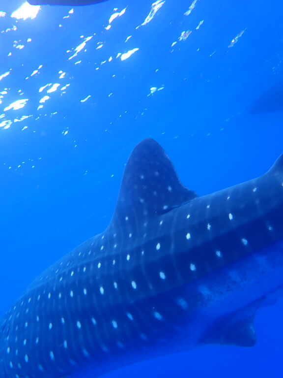 7b4b4ef0-ce4b-43cc-8049-5a9ba5c49fee