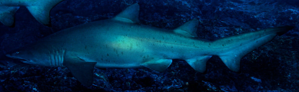 aa187641-5e41-43ba-9aa6-c528569cac0f