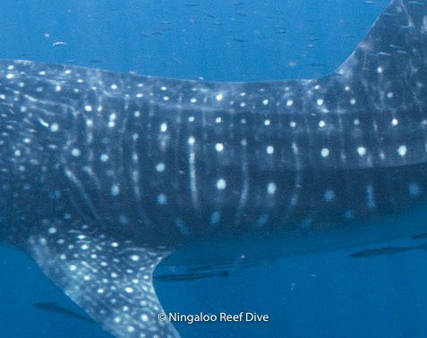 21ffae15-58ee-4468-be37-942565532a48