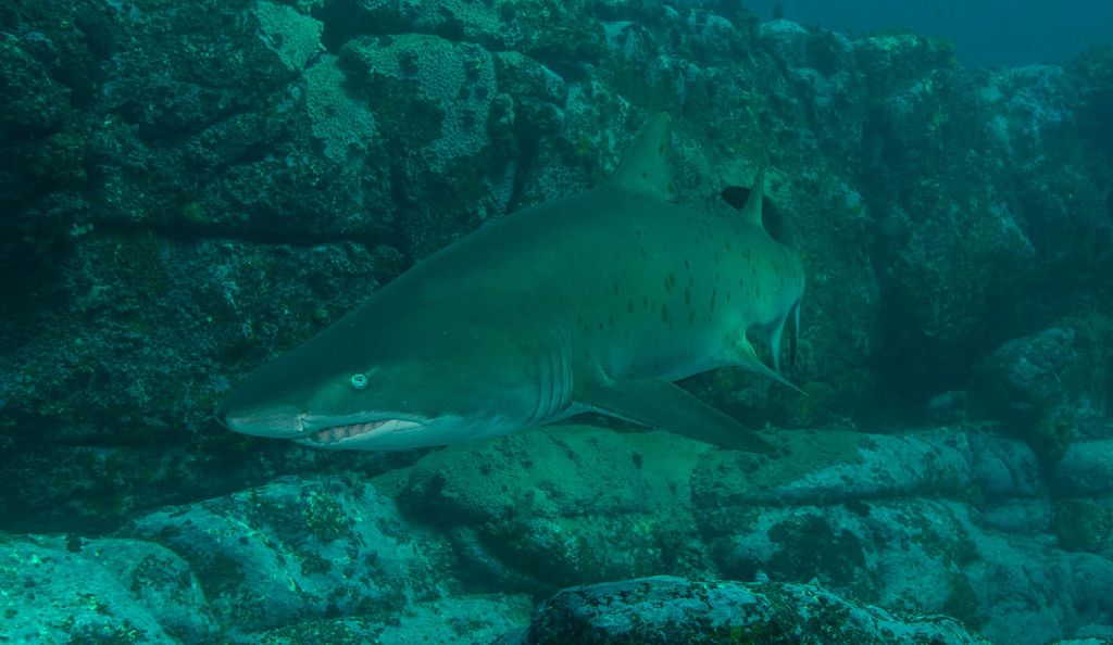 ecf537e7-959d-4136-bd07-1ba21cca6a49