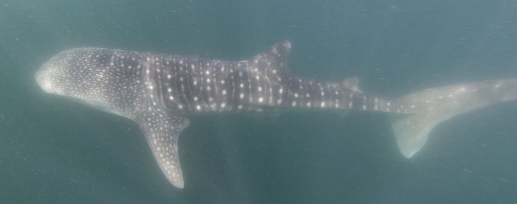 9e5a6967-63eb-42c8-9581-c6c806137860