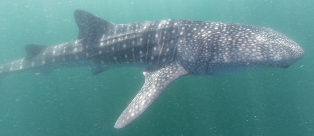 9e5a6967-63eb-42c8-9581-c6c806137860