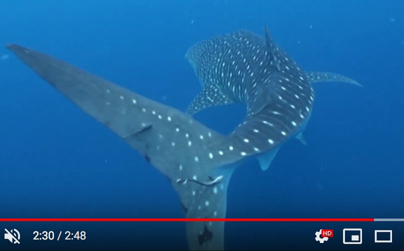 c136416e-b13d-47b7-a41f-b75fa974687b