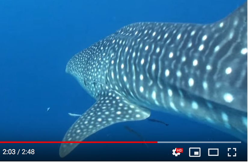 c136416e-b13d-47b7-a41f-b75fa974687b