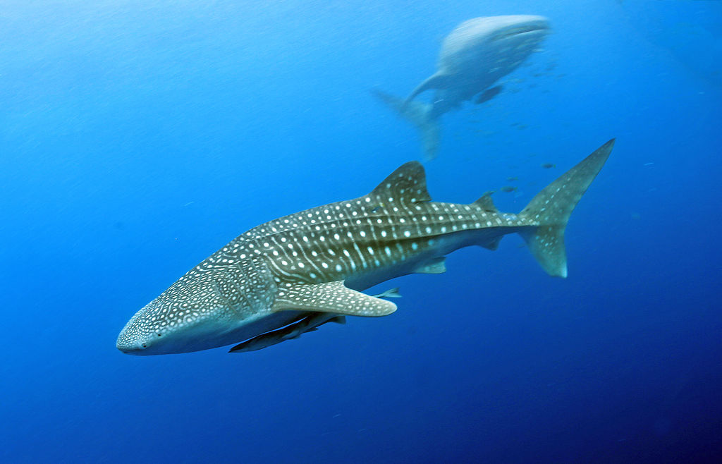 3ff86a23-1cc2-4616-93e2-91f4ec1c07aa