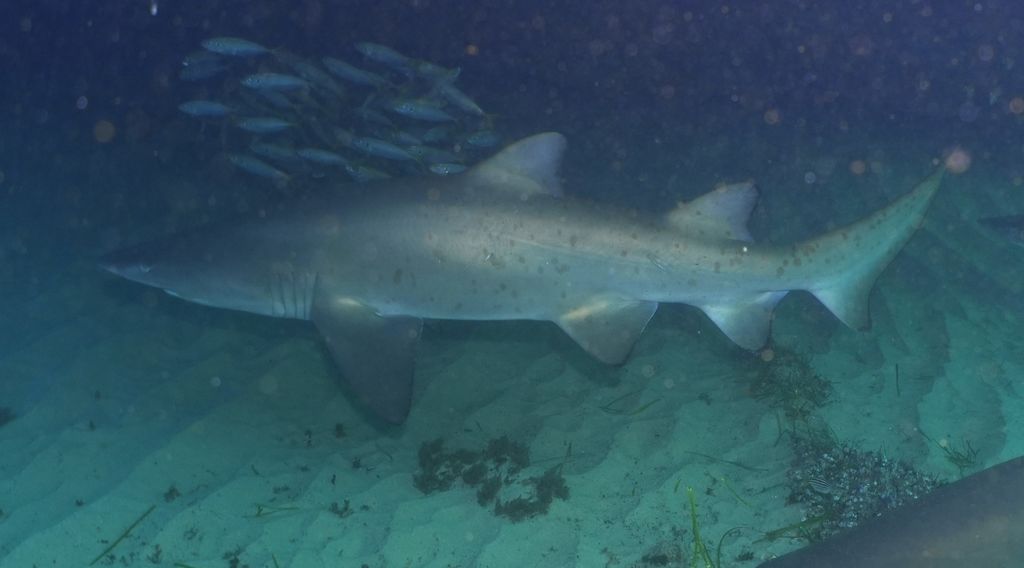 166db56b-60a4-4500-b193-f9b869baa3eb