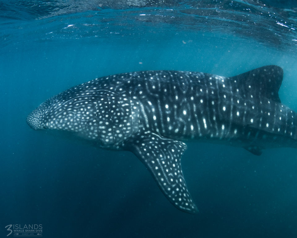 9c39cc9e-7e48-44c9-bbf6-661769628d30