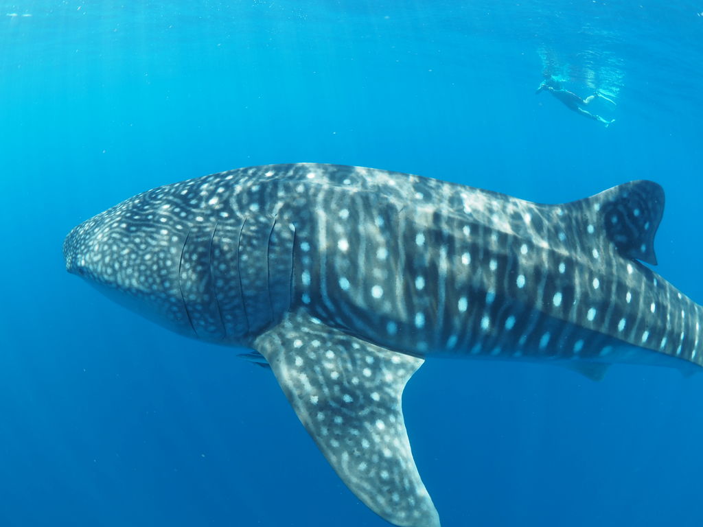 425e8b24-f66f-445b-b334-34d2d6d42453