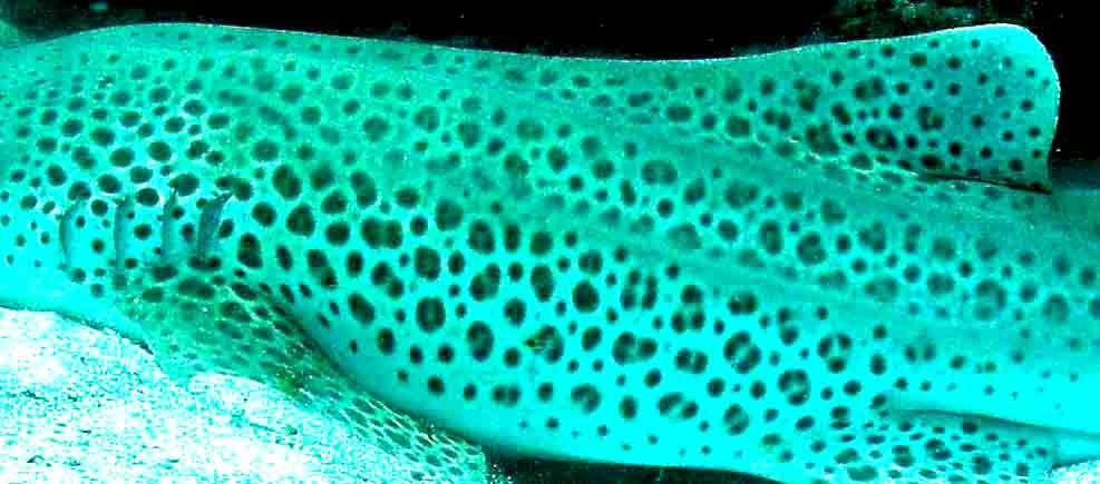 f4678981-79b6-4eac-97d0-87f80390dcc3