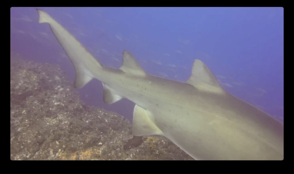 b1fba666-b927-4d21-b4b1-e55ccacd35f8