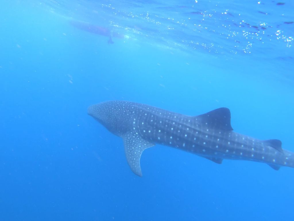 4d546369-633b-4f66-bc15-127d084b1bca