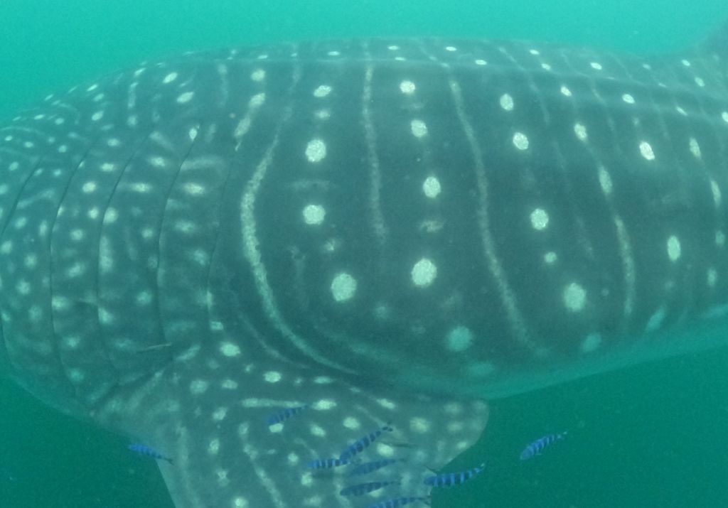 f0cb6de0-0231-4219-b379-08c7f6ce01ae