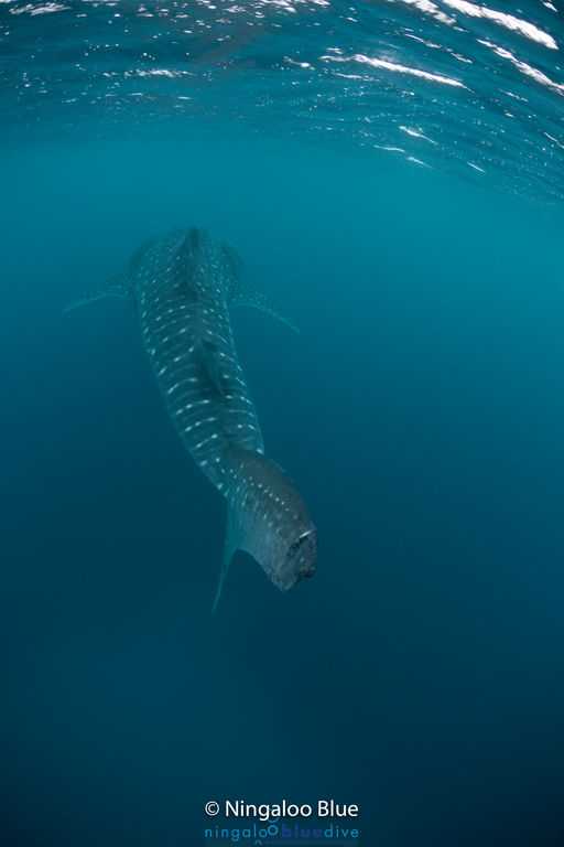 857cbe67-9405-414a-97c9-3a1d5971a3a1