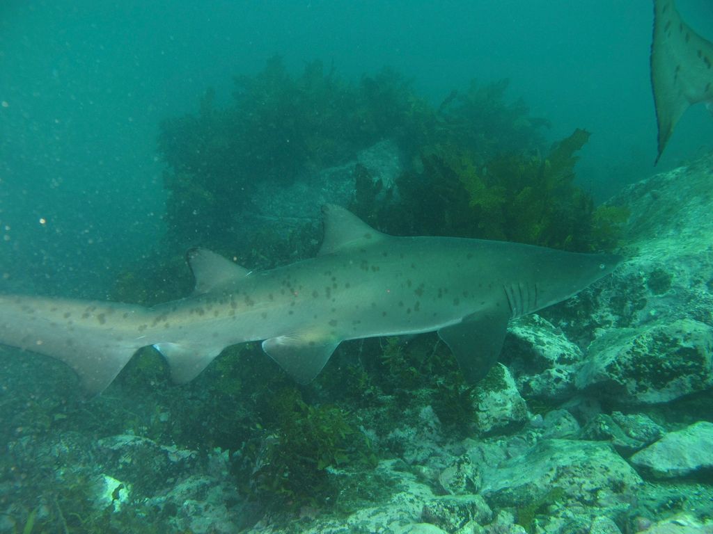 7799e8d7-9d61-413b-9715-19e6a0c8d844