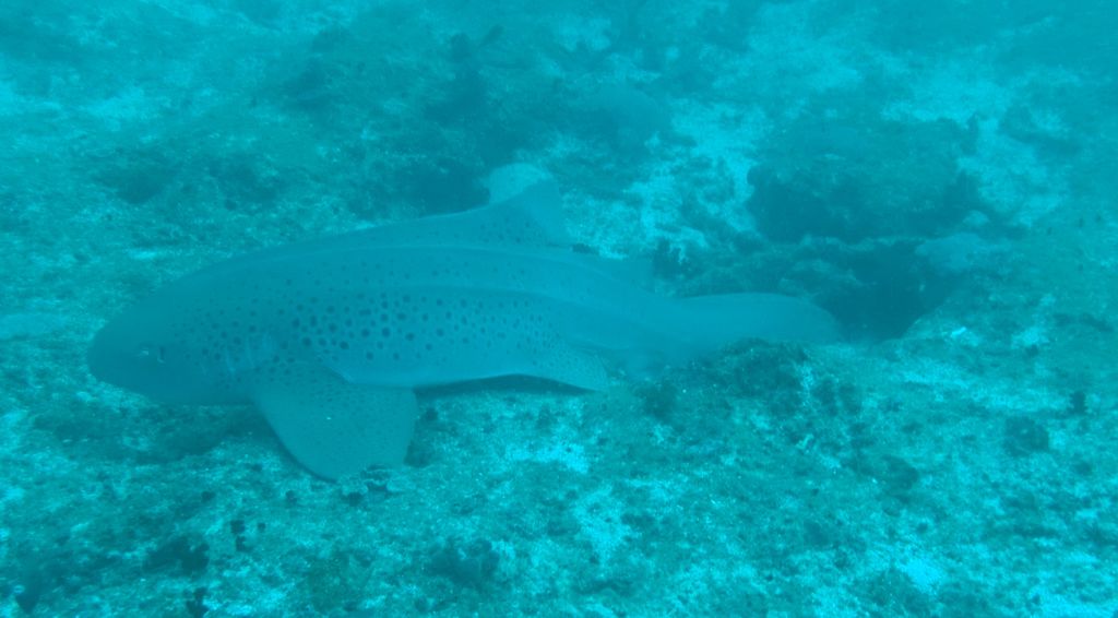 a6a9805b-da36-4b02-98eb-925bf2855364