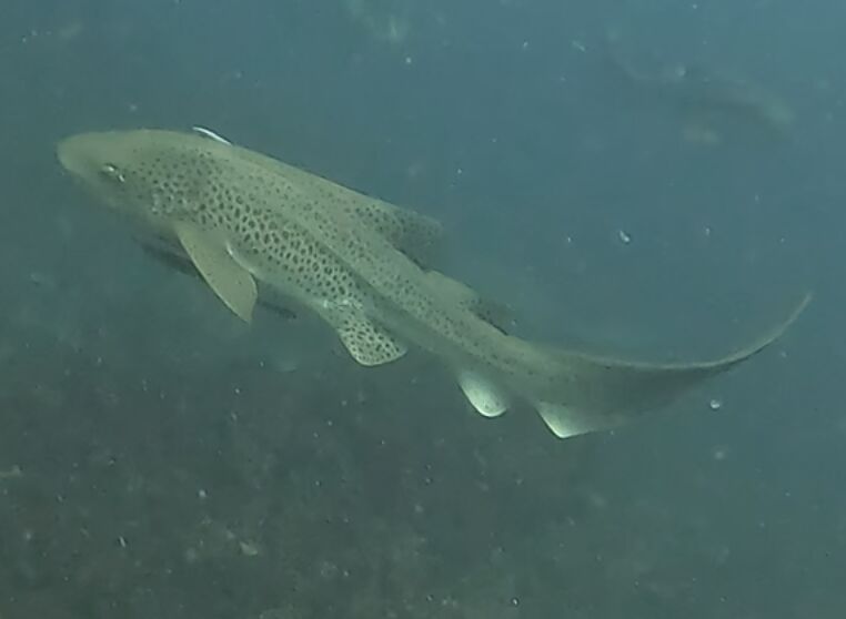 e3f01a09-dfda-456a-a2ce-b2405fe9bdc7