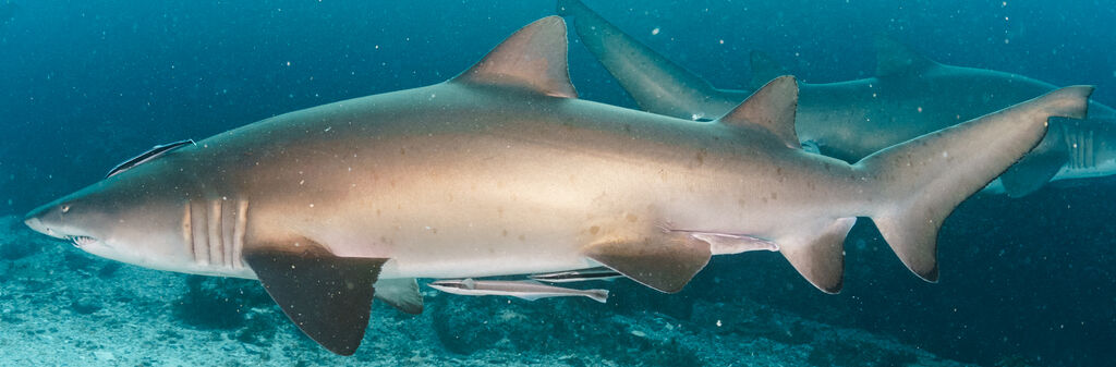 3e56c7ed-c568-40f6-81b6-f7a32513b989