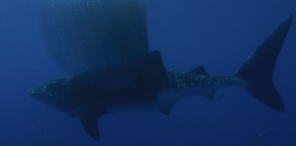 48e23443-ebe3-422f-aa7e-37207fb8f8b6