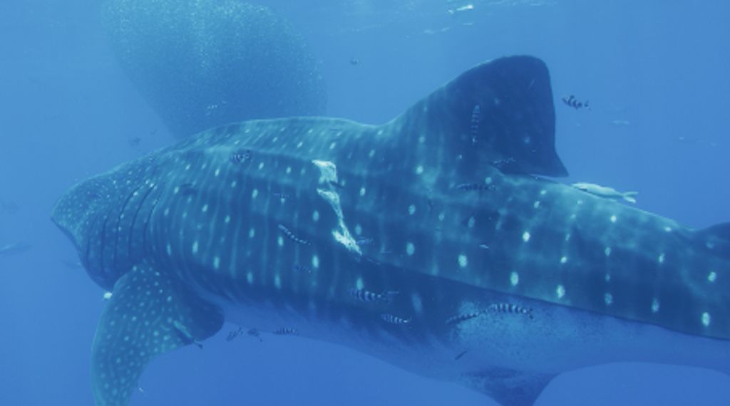 48e23443-ebe3-422f-aa7e-37207fb8f8b6