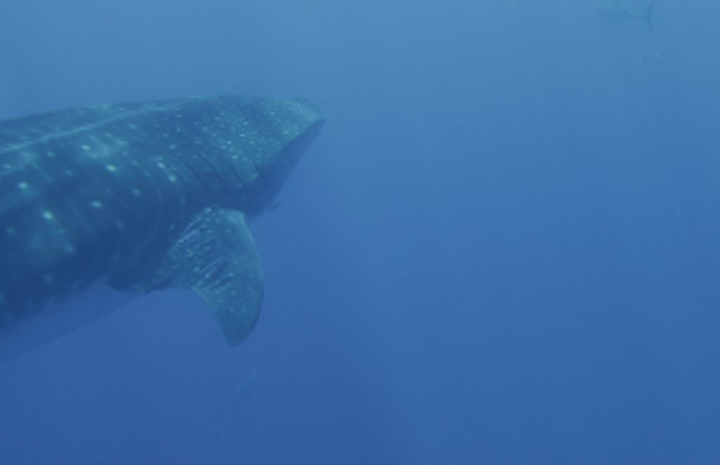 48e23443-ebe3-422f-aa7e-37207fb8f8b6