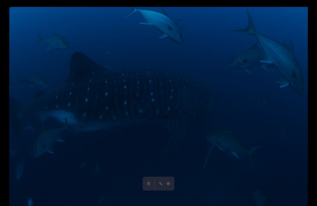 29c90089-d9b1-4eb0-bde3-ff622c1fb2c2