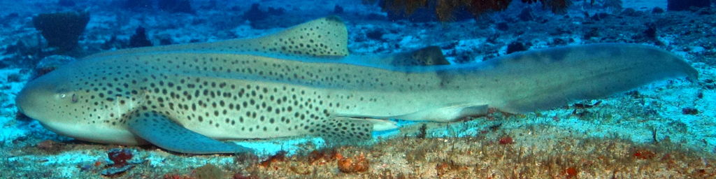 437aa328-2489-4d10-ba15-3eb7418ad408